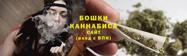стаф Кодинск