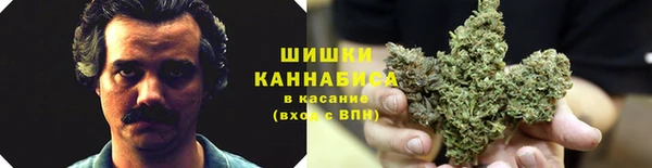 стаф Кодинск