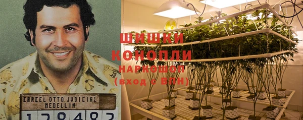 сатива Корсаков