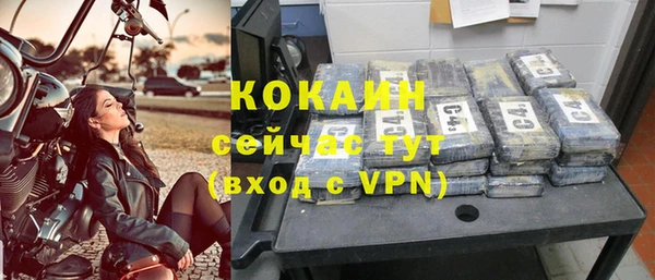 сатива Корсаков