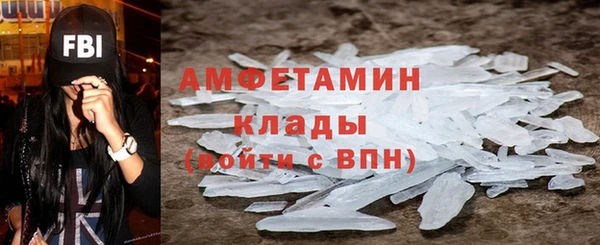 сатива Корсаков