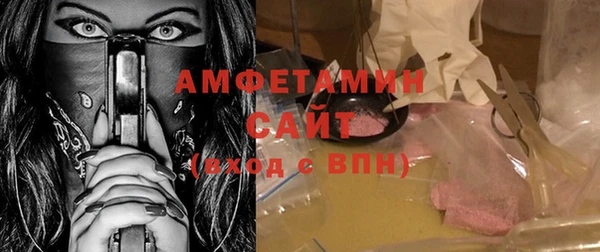 сатива Корсаков