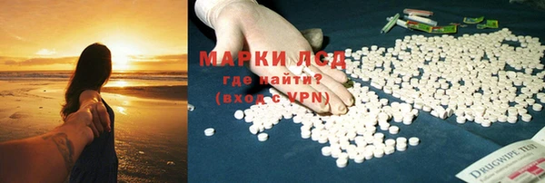 сатива Корсаков