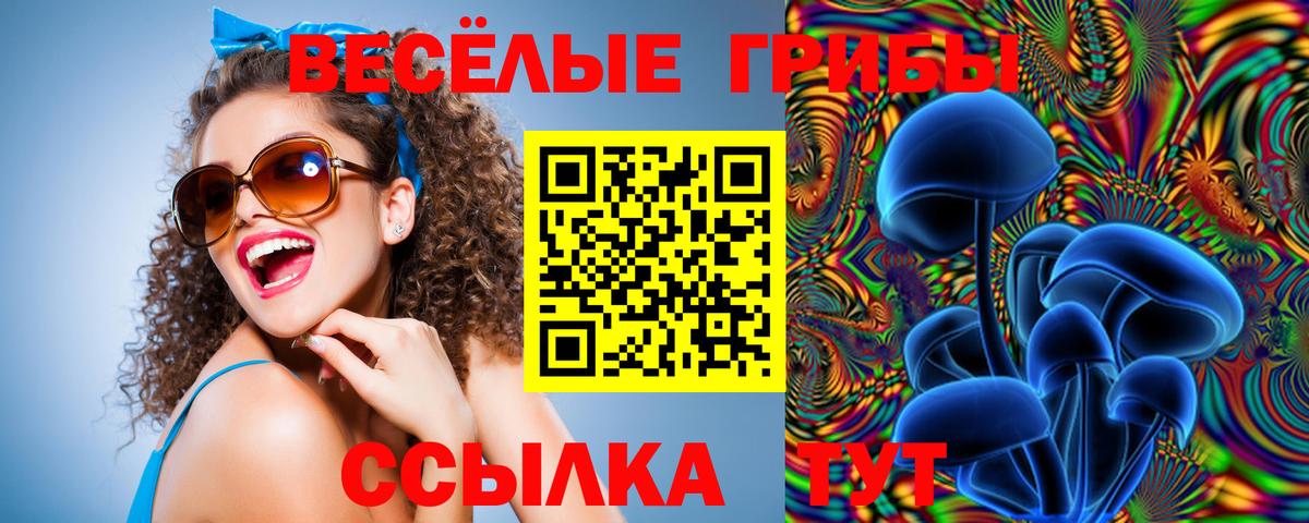 Кохма  Галлюциногенные грибы MAGIC MUSHROOMS  Галлюциногенные грибы мицелий  Вход с VPN 