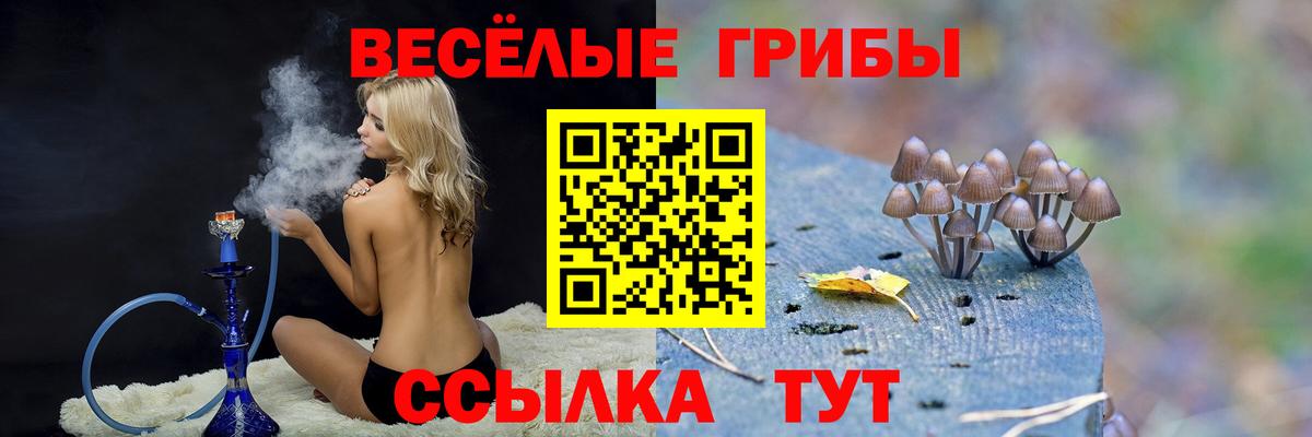 Галлюциногенные грибы мухоморы Кохма