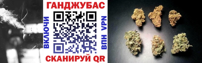 Конопля SATIVA & INDICA  Кохма 